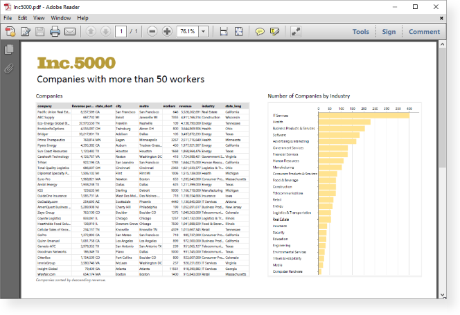 PDF report example